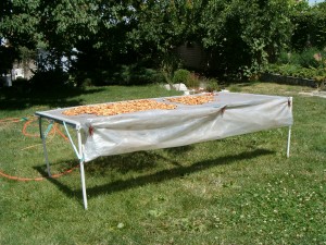 самодельная солнечная сетка сушилка для сушки фруктов