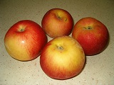сорта яблонь для интенсивного сада