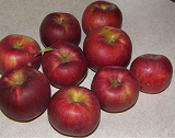 интенсивные сорта яблонь