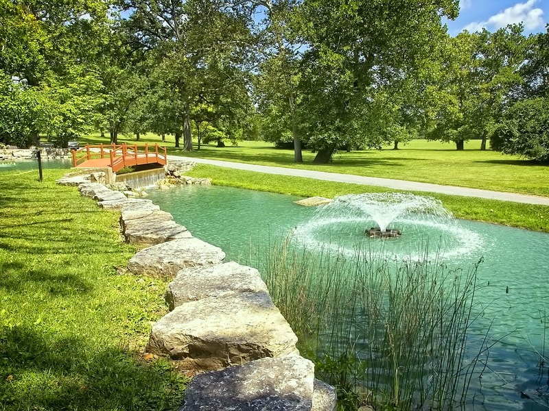 водоем с фонтаном в ландшафтном дизайне сада