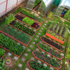Посадка и выращивание в открытом грунте: огурцы, томаты, перцы, капуста и др