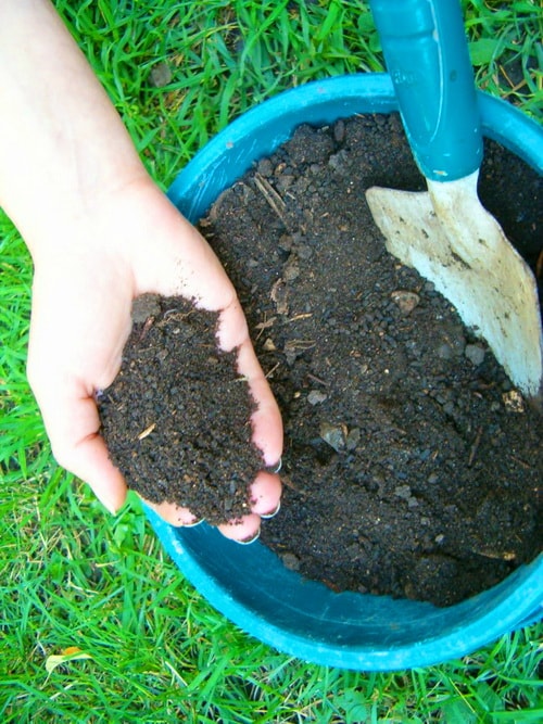 Как сделать компост своими руками и раскислить почву в саду