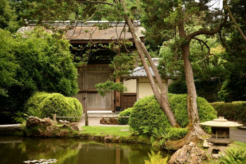 Чайный сад во Дворце Хидэеси
