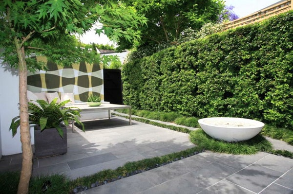 сад в стиле минимализм с лианами