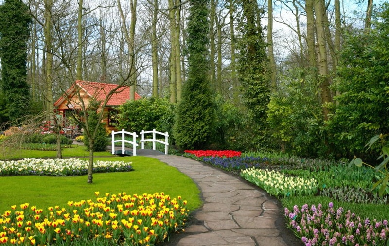 оформление садовых дорожек тюльпанами
