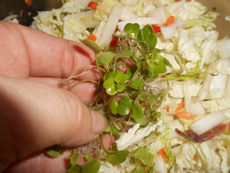 добавляем в салат свою микрозелень