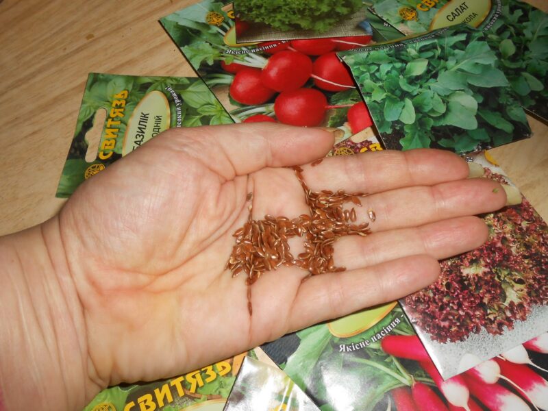 подбираем семена для посева микрозелени