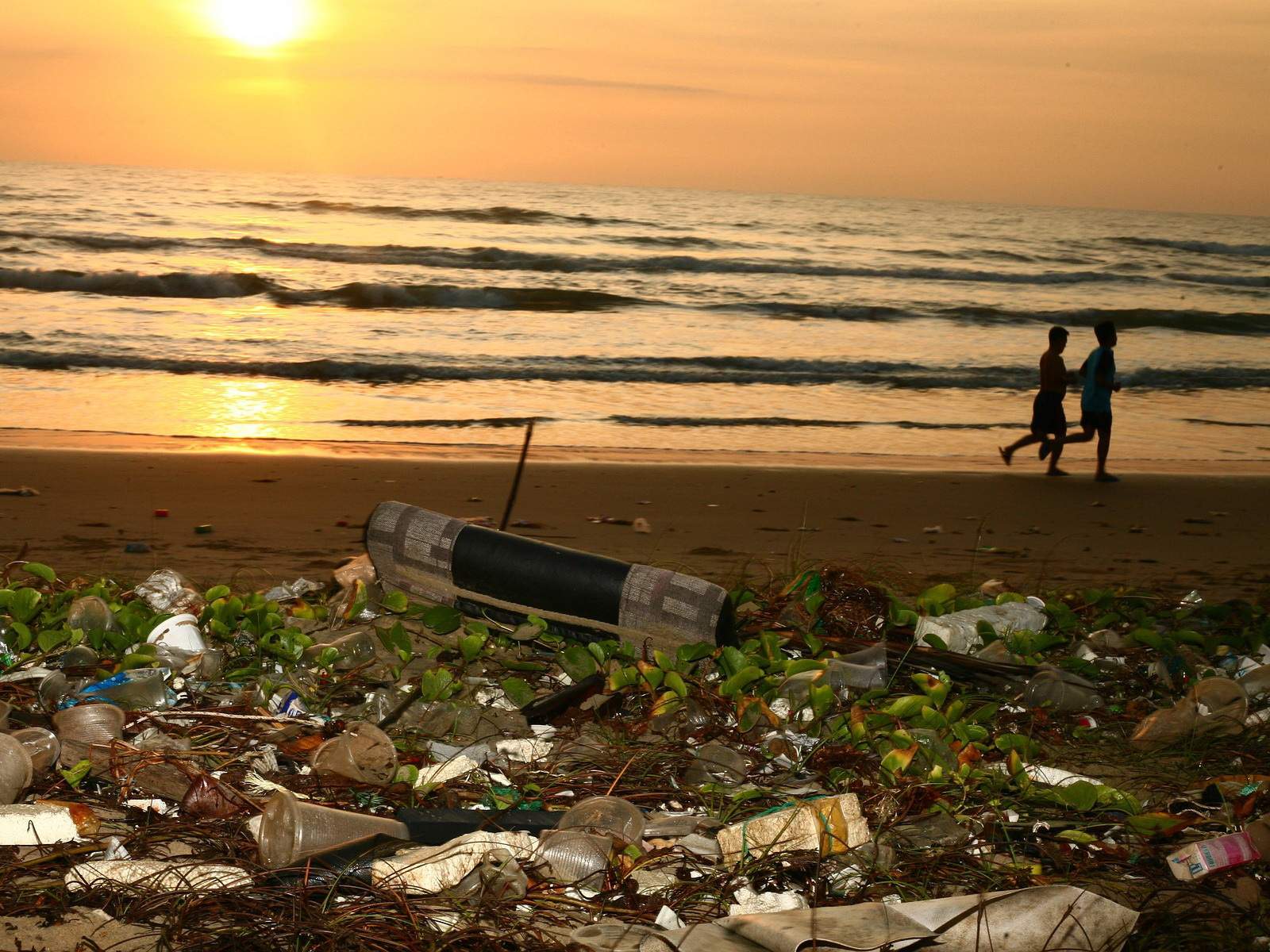 берег океана с пластиковым мусором